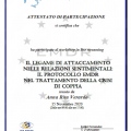 Ingrandire l'immagine: certificate 7