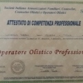 Ingrandire l'immagine: certificate 28
