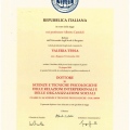 Ingrandire l'immagine: certificate 2