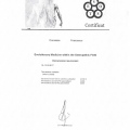 Ingrandire l'immagine: certificate 4