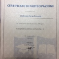 Ingrandire l'immagine: certificate 7