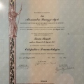 Ingrandire l'immagine: certificate 2