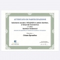 Ingrandire l'immagine: certificate 8