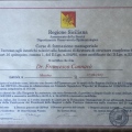Ingrandire l'immagine: certificate 2