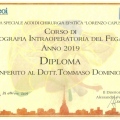Ingrandire l'immagine: certificate 1