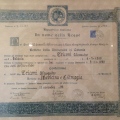 Ingrandire l'immagine: certificate 2
