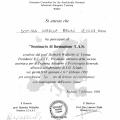 Ingrandire l'immagine: certificate 15