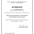 Ingrandire l'immagine: certificate 7