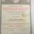 Ingrandire l'immagine: certificate 2
