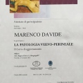 Ingrandire l'immagine: certificate 3