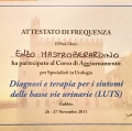 Ingrandire l'immagine: certificate 24