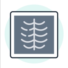 Ingrandire l'immagine: Rx , tecnico radiologo Martina Franca