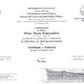 Ingrandire l'immagine: certificate 2