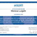 Ingrandire l'immagine: certificate 9