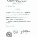 Ingrandire l'immagine: certificate 25