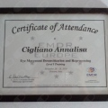 Ingrandire l'immagine: certificate 1