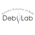 DEB - LAB Dynamic Evolution of BodyMilano - 