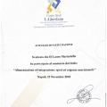 Ingrandire l'immagine: certificate 9