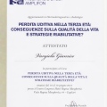 Ingrandire l'immagine: certificate 4