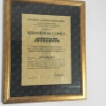 Ingrandire l'immagine: certificate 5