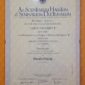 Ingrandire l'immagine: certificate 4