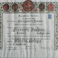 Ingrandire l'immagine: certificate 2