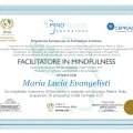 Ingrandire l'immagine: certificate 2