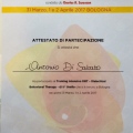 Ingrandire l'immagine: certificate 4