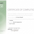 Ingrandire l'immagine: certificate 9