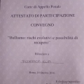 Ingrandire l'immagine: certificate 6