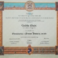Ingrandire l'immagine: certificate 6