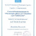 Ingrandire l'immagine: certificate 2