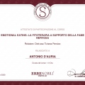 Ingrandire l'immagine: certificate 7