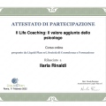 Ingrandire l'immagine: certificate 6