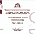 Ingrandire l'immagine: certificate 32