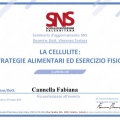 Ingrandire l'immagine: certificate 2