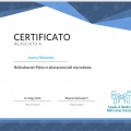 Ingrandire l'immagine: certificate 33