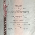 Ingrandire l'immagine: certificate 1