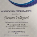 Ingrandire l'immagine: certificate 5