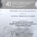 Ingrandire l'immagine: certificate 14