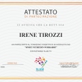 Ingrandire l'immagine: certificate 15