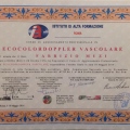 Ingrandire l'immagine: certificate 5
