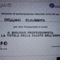 Ingrandire l'immagine: certificate 11