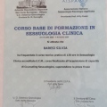Ingrandire l'immagine: certificate 4
