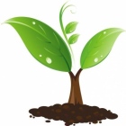 Dott.ssa Manuela D'Eugenio