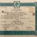 Ingrandire l'immagine: certificate 1
