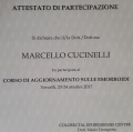 Ingrandire l'immagine: certificate 6