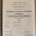 Ingrandire l'immagine: certificate 3