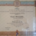 Ingrandire l'immagine: certificate 2