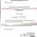 Ingrandire l'immagine: certificate 9